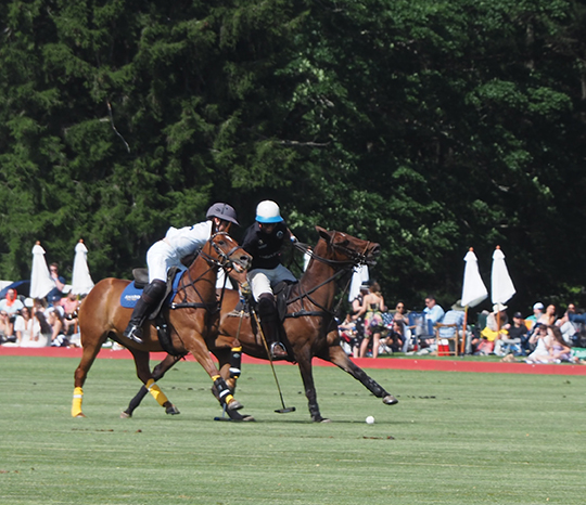 Greenwich Polo June 7, 2026 2-3 - photo by Luxury Experience