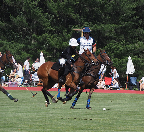 Greenwich Polo June 7, 2026 2-4 - photo by Luxury Experience