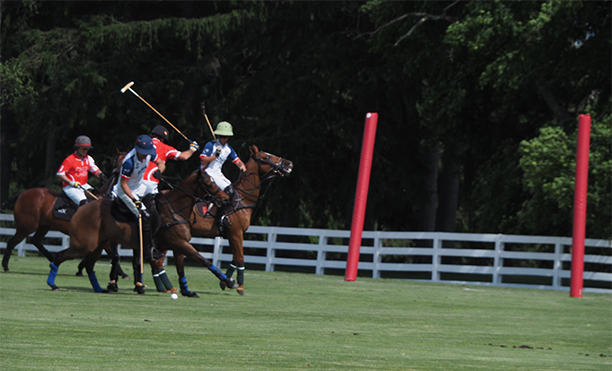 Greenwich Polo June 7, 2026 3-1 - photo by Luxury Experience