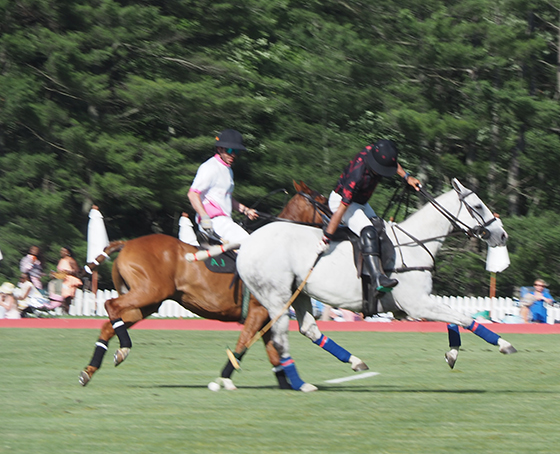 Greenwich Polo June 7, 2026 5-5 - photo by Luxury Experience